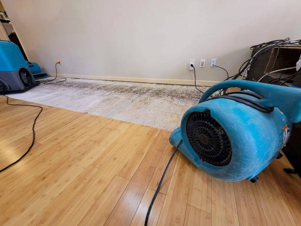 Professional Structural Drying technician working in Everett, WA